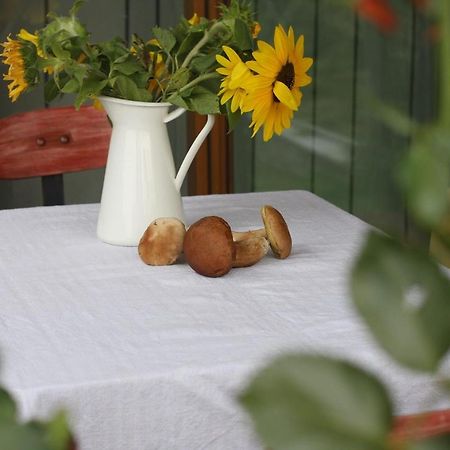 Holiday Home Trnavsko Bogojina Extérieur photo