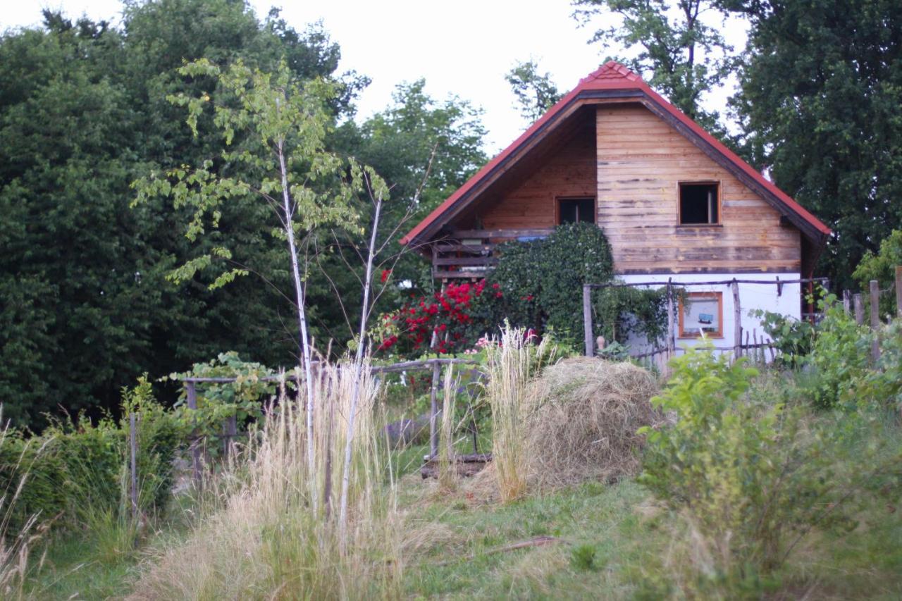 Holiday Home Trnavsko Bogojina Extérieur photo