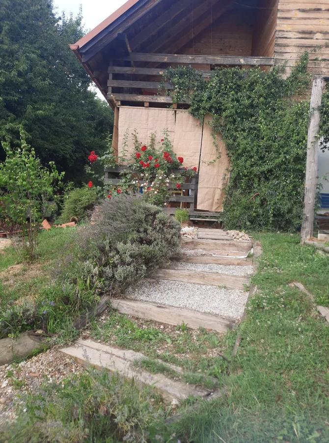 Holiday Home Trnavsko Bogojina Extérieur photo