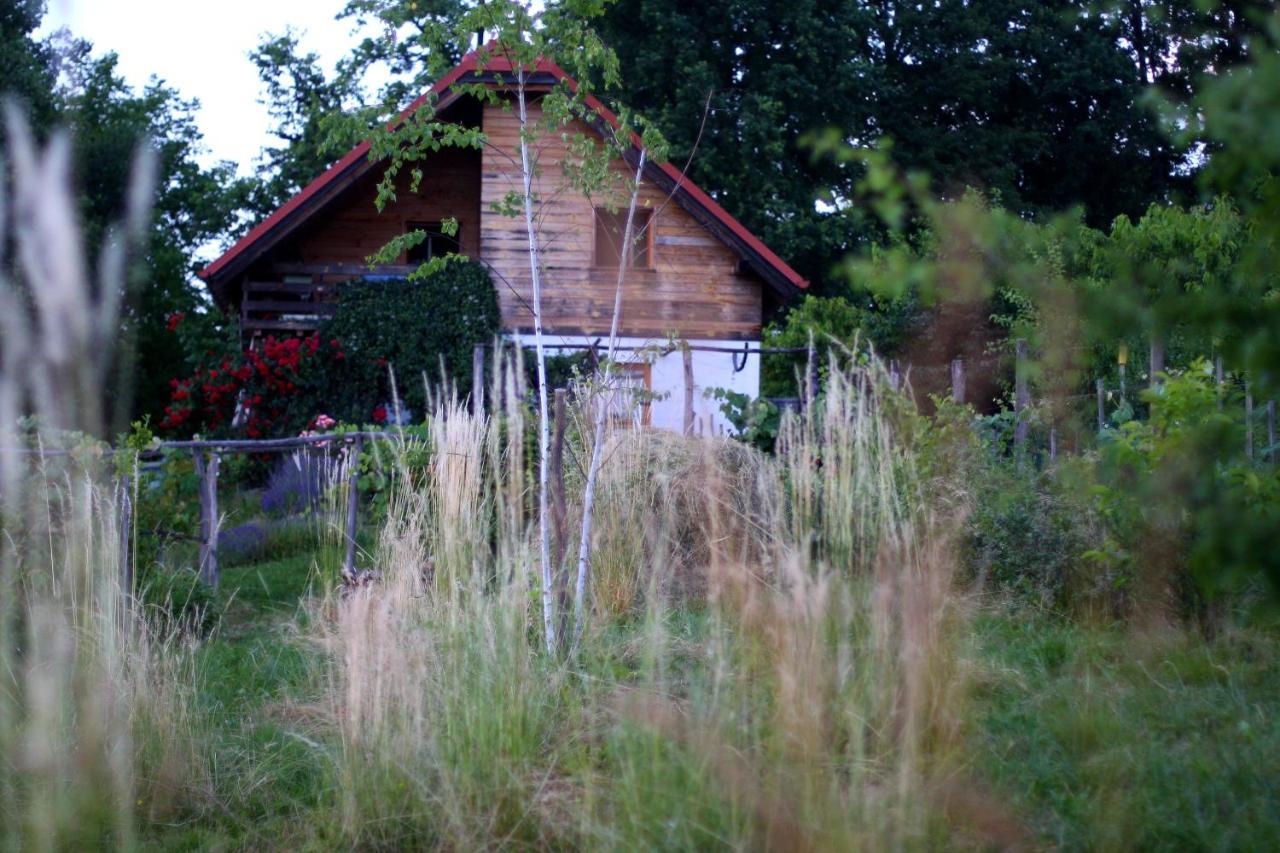 Holiday Home Trnavsko Bogojina Extérieur photo