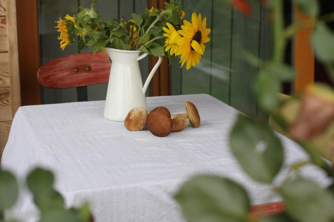 Holiday Home Trnavsko Bogojina Extérieur photo